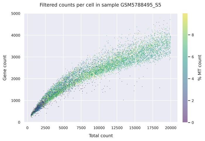 Mitochondrial counts (filtered)