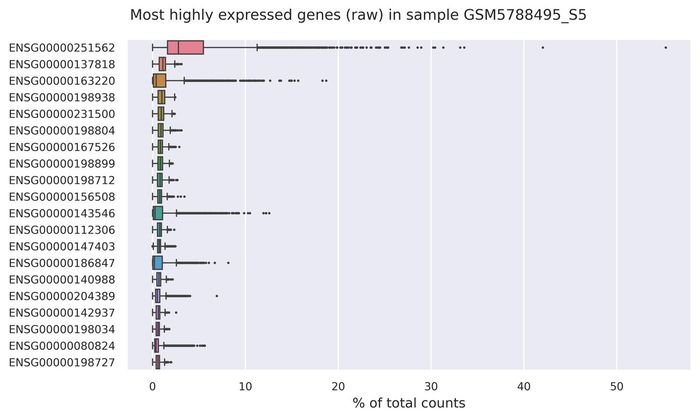 Highest expressed genes (filtered)