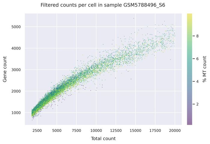 Mitochondrial counts (filtered)