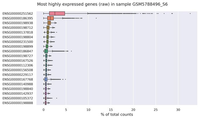 Highest expressed genes (filtered)