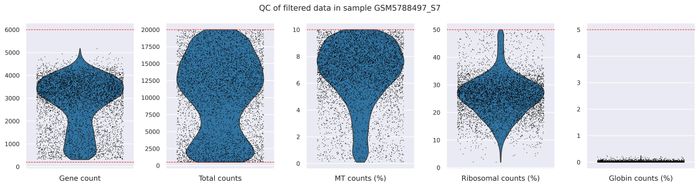 QC metrics (filtered)