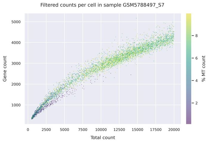 Mitochondrial counts (filtered)