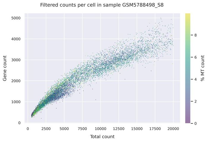 Mitochondrial counts (filtered)