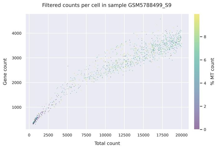 Mitochondrial counts (filtered)