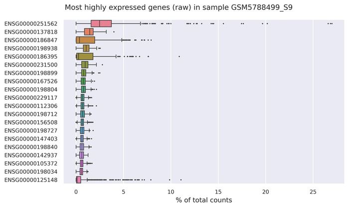 Highest expressed genes (filtered)