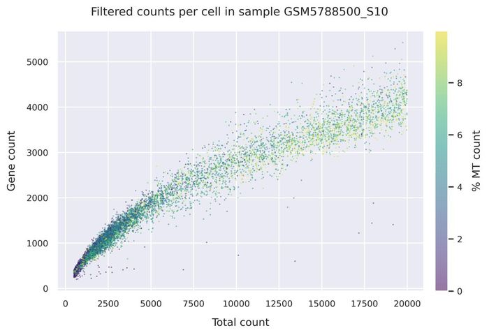 Mitochondrial counts (filtered)