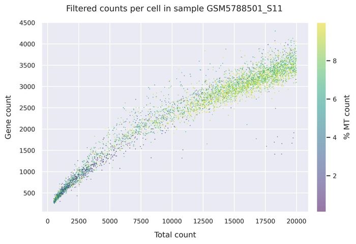Mitochondrial counts (filtered)