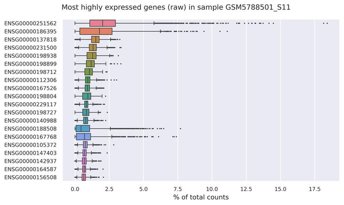 Highest expressed genes (filtered)