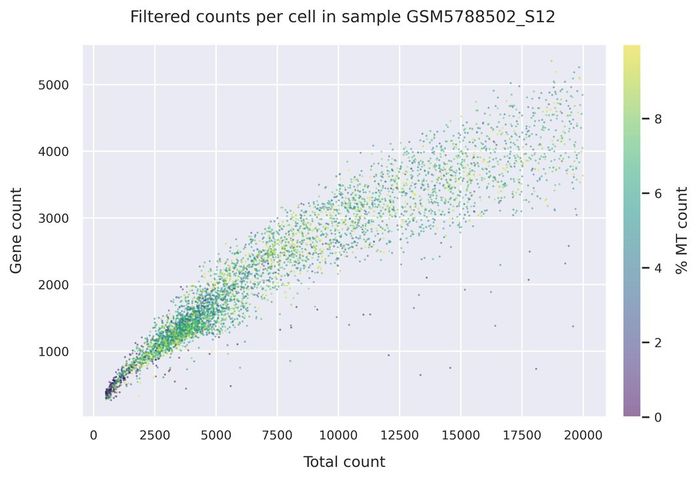 Mitochondrial counts (filtered)