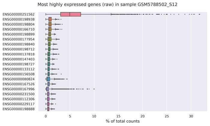 Highest expressed genes (filtered)