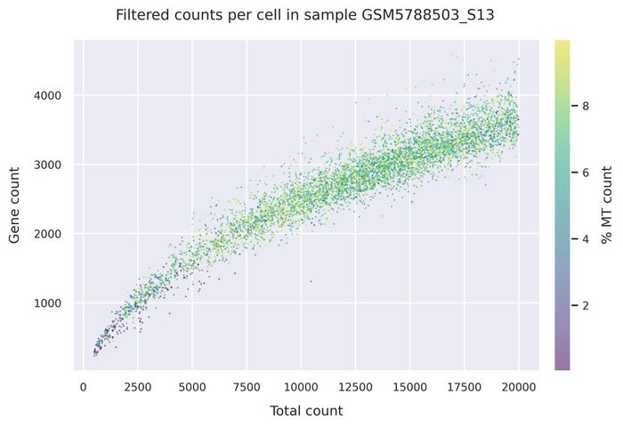 Mitochondrial counts (filtered)
