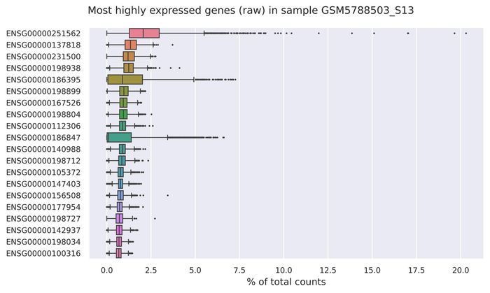 Highest expressed genes (filtered)