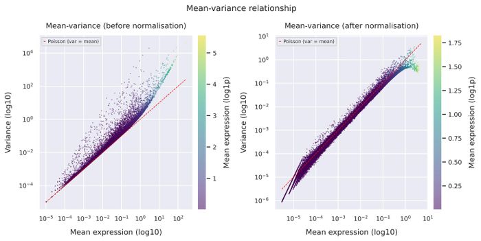 Mean–variance relationship