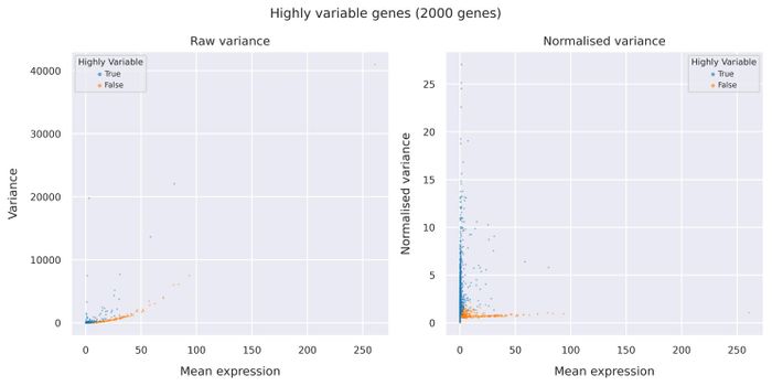 Highly variable genes