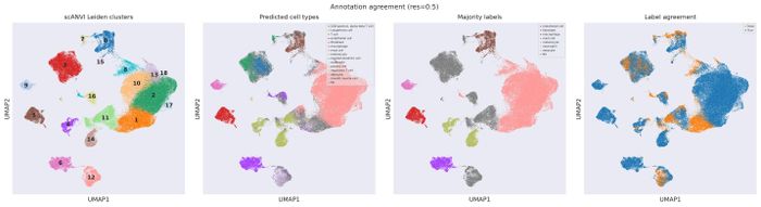 Annotation QC (res 0.5)
