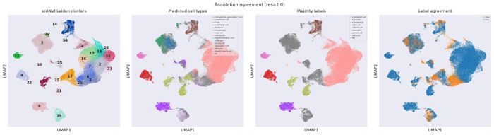 Annotation QC (res 1.0)