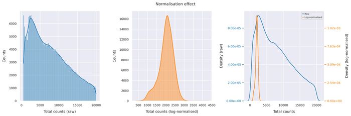 Normalisation effect
