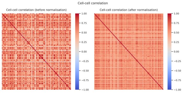 Cell–cell correlation