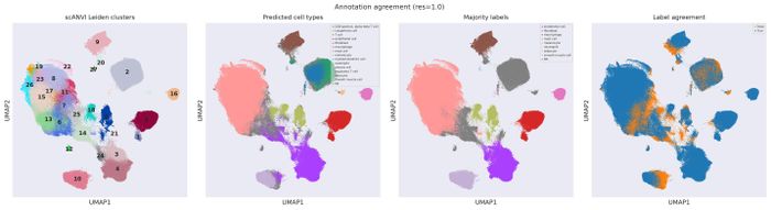 Annotation QC (res 1.0)